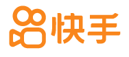 Partner 31